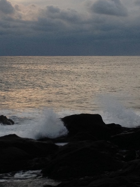 所変わって野島埼の海岸